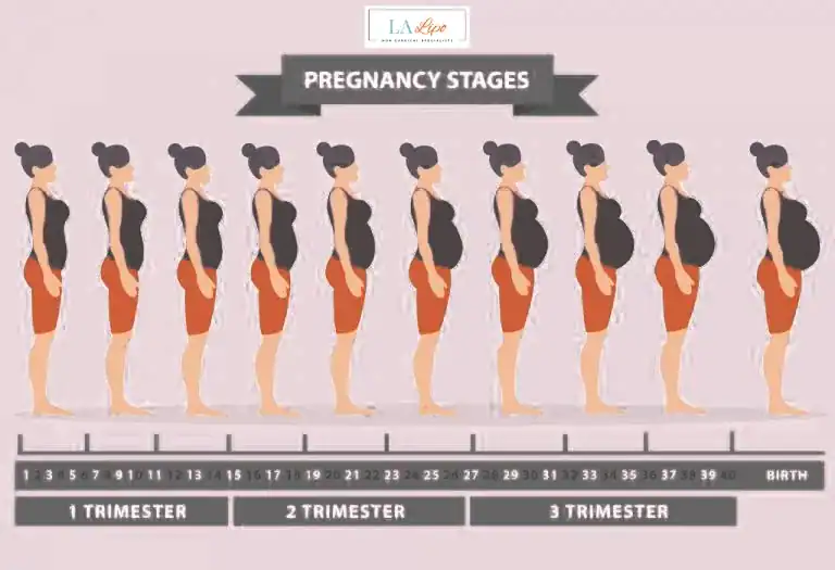 First Trimester (Weeks 1–12): Early Changes You Might Not Notice Durham